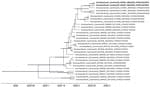 Time-scaled Bayesian maximum clade credibility tree of the concatenated whole genome of highly pathogenic avian influenza A(H7N3) viruses from South Carolina (bold) and North Carolina, USA. Node bars represent 95% Bayesian credible intervals for estimates of common ancestry.