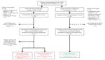 Flowchart of pregnant women admitted to CHOG, French Guiana, January 1–July 15, 2016. All women were routinely tested for ZIKV-specific IgM and IgG in each trimester of pregnancy and at delivery. In cases of maternal symptoms, acute exposure in the previous 2 weeks, fetal anomalies, or if an amniocentesis was indicated, pregnant women were also tested for ZIKV RNA by RT-PCR in blood and urine. Patients with a positive RT-PCR result were offered to participate in the study and underwent monthly RT-PCR testing up to clearance or delivery. Prolonged viremia was defined as ongoing viral detection >30 days after symptom onset or after initial detection of viremia. Asymptomatic patients who remained negative for ZIKV IgM during the whole pregnancy were recruited and considered as non–ZIKV-infected. Patients with only positive IgM without or with a negative RT-PCR test result were excluded of this analysis because of the inability to accurately date the onset and clearance of viremia. Patients without appropriate monthly follow-up were also excluded from this study (e.g., those who had early miscarriages, late diagnosis of infection at delivery, or were not followed in our center after the diagnosis). After expulsion, fetal losses were tested by RT-PCR (as well as by IgM, if available). Fetuses with anomalies were tested by RT-PCR on amniotic fluid. Neonates were tested for ZIKV at birth (RT-PCR on placenta, urine, blood and IgM on blood [as well as on cerebrospinal fluid, if symptomatic]). Fetuses and neonates without appropriate testing and examination after fetal loss or birth were excluded from this analysis. Overall, 15 fetuses from 14 infected pregnant women with prolonged viremia (including 1 with a twin pregnancy), 19 fetuses from 19 infected pregnant women without prolonged viremia, and 332 fetuses from 326 noninfected pregnant women (including 6 with twin pregnancies) were included. CHOG, Centre Hospitalier de l’Ouest Guyanais (Saint-Laurent-du-Maroni, French Guiana); RT-PCR, reverse transcription PCR; ZIKV, Zika virus.