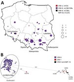 Geographic distribution and clonal analysis of Enterobacter hormaechei clonal complex 90 (ST90 and ST1762) in Poland, 2006–2019. A) Geographic distribution of the isolates; main administrative regions are labeled. Circles represent medical centers where the isolates were recorded. Sizes of the circles are proportional to numbers of cases of infection. B) SNP-based minimum-spanning tree of the isolates. Lengths of branches are related to numbers of SNPs between linked isolates. Numbers of SNPs are indicated above the branches or next to the dots. SNP, single nucleotide polymorphism; ST, sequence type.