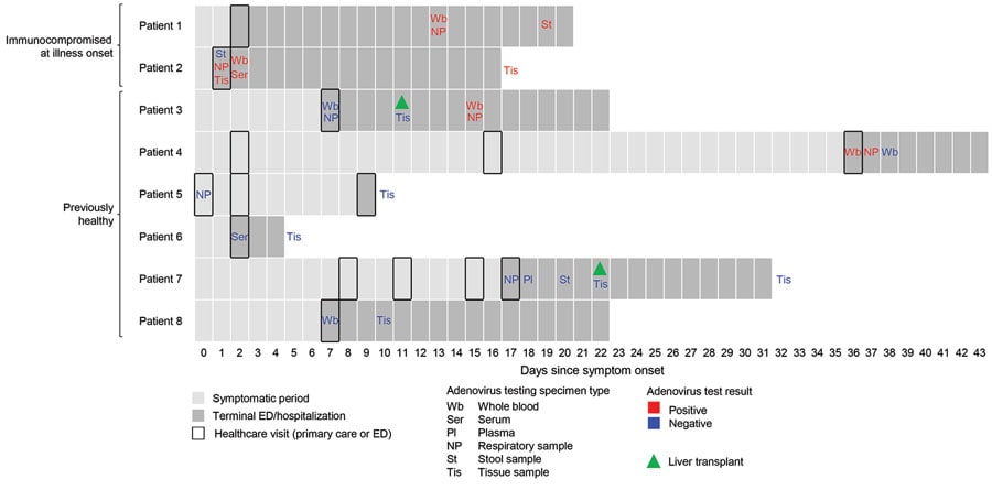 Health status at initial visit and timeline of clinical course for 8 children fatally ill with hepatitis of unknown etiology, United States, October 1, 2021–June 6, 2023. Symptom onset refers to the first symptom reported for the child including respiratory, gastrointestinal, hepatic, or systemic symptoms. Patients 1 and 2 were immunocompromised at the time of initial visit to emergency department or inpatient admission. Patient 3, initially immunocompetent, tested positive only after receiving a liver transplant during initial admission; before the transplant, the child had tested negative for adenovirus in respiratory, whole blood, and liver specimens. ED, emergency department. 