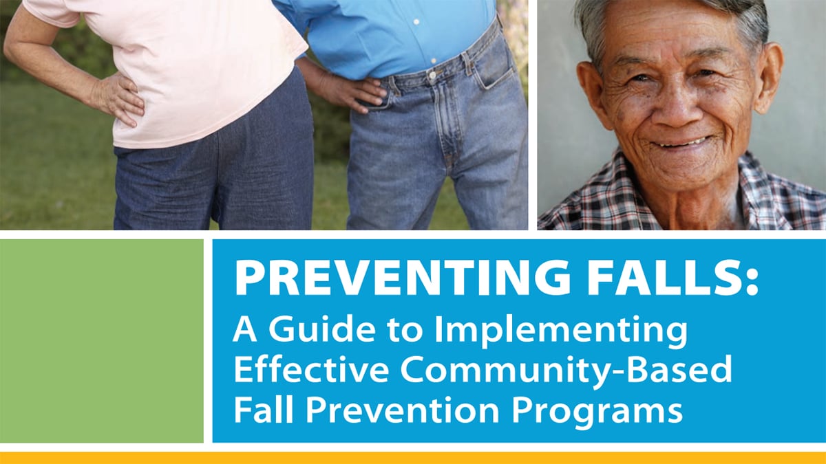 Preventing Falls: A Guide to Implementing Effective Community-Based Fall Prevention Programs PDF Cover