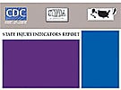 State Injury Indicators Report, First Edition cover