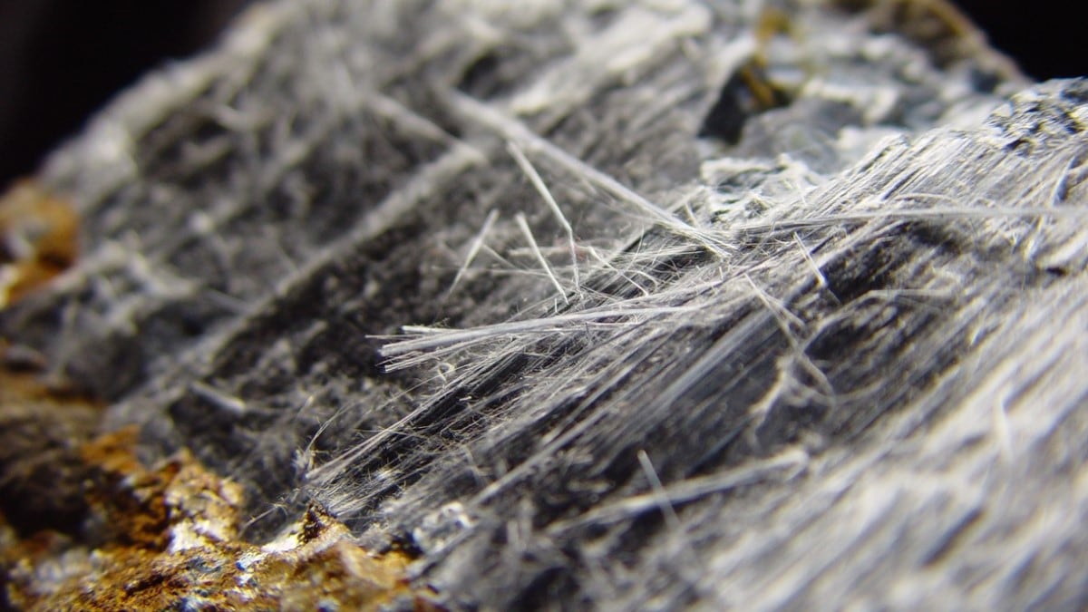 Magnified photo of asbestos, showing its thin fibers