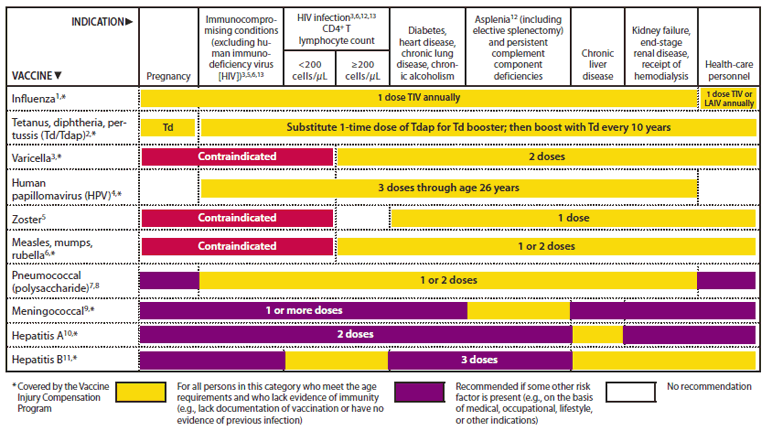 The figure shows vaccines that might be indicated for adults, based on medical and other indications in the United States for 2011.