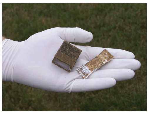 The figure is a photograph of a gloved hand holding a raccoon rabies vaccine bait, which consists of a fishmeal block and the sealed plastic packet that is encased inside the block and contains the vaccine.