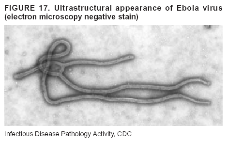 Figure 17