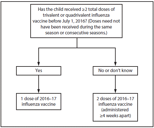 rr6505a1f.gif The figure depicts the influenza vaccine dosing algorithm for children aged 6 months through 8 years as recommended by the Advisory Committee on Immunization Practices for the 2016–17 influenza season in the United States. If the child received two or more total doses of trivalent or quadrivalent influenza vaccine before July 1, 2016 (doses need not have been received during the same season or consecutive seasons), then the child should receive one dose of 2016–17 influenza vaccine. If the child did not receive two or more total doses of trivalent or quadrivalent influenza vaccine before July 1, 2016 or if it is not known whether the child received two doses, then the child should receive two doses of 2016–17 influenza vaccine, administered four or more weeks apart.