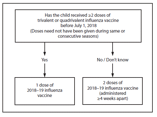 rr6703a1-F The figure above portrays the influenza vaccine dosing algorithm for children aged 6 months through 8 years recommended by the Advisory Committee on Immunization Practices for the 2018–19 influenza season in the United States. If the child has received 2 or more doses of trivalent or quadrivalent influenza vaccine before July 1, 2018 (doses need not have been given during same or consecutive seasons), the child should receive 1 dose of 2018–19 influenza vaccine. If the child has not received 2 or more doses of trivalent or quadrivalent influenza vaccine before July 1, 2018, or if it is not known whether the child has received vaccine, the child should receive 2 doses of 2018–19 influenza vaccine (administered 4 or more weeks apart).
