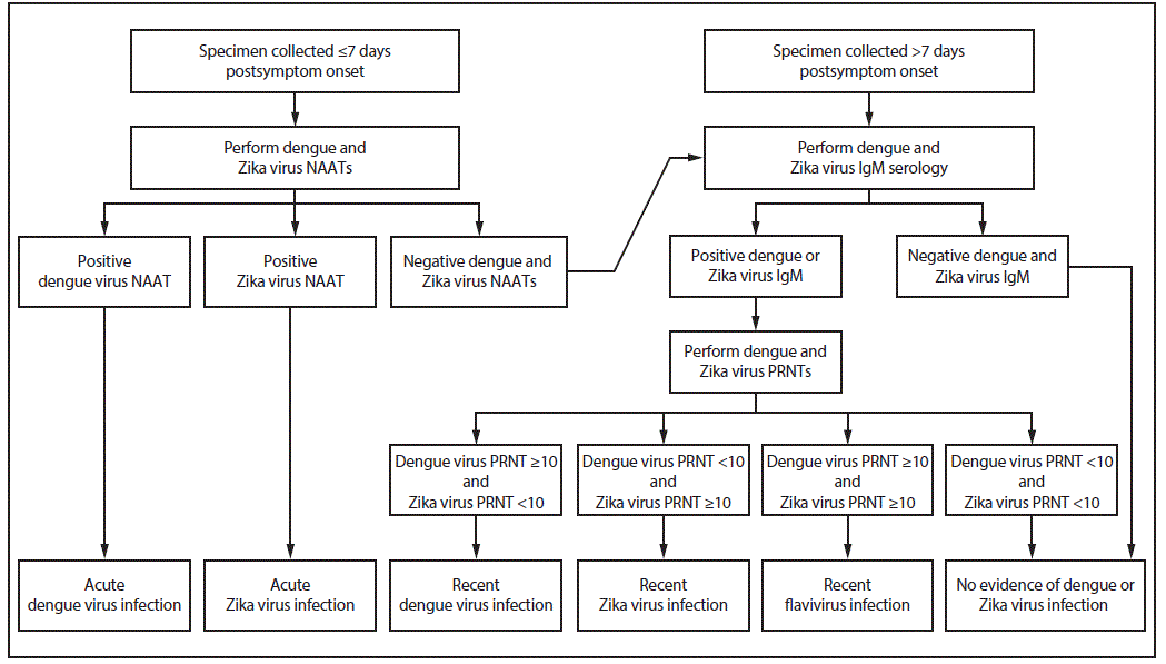 rr6801a1-F1 Figure illustrates dengue and Zika virus testing recommendations for nonpregnant persons with a clinically compatible illness and risk for infection with both viruses. Diagnostic testing recommendations include immunoglobulin M assays, nucleic acid amplification tests, and plaque reduction neutralization tests.