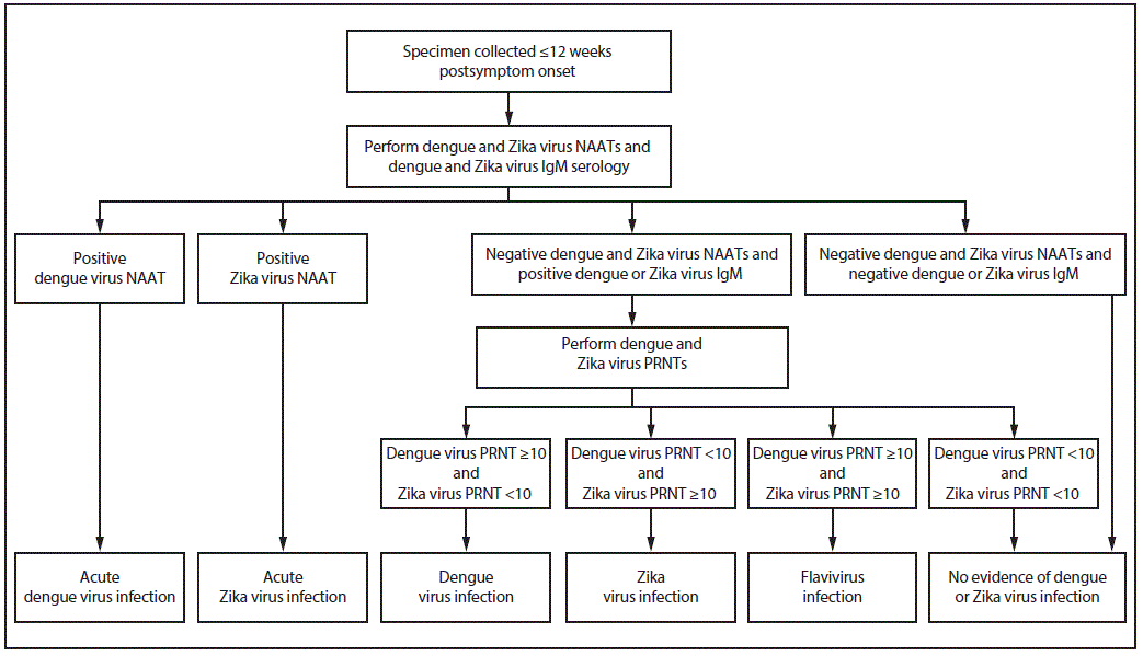 rr6801a1-F2 Figure illustrates dengue and Zika virus testing recommendations for pregnant women with a clinically compatible illness and risk for infection with both viruses. Diagnostic testing recommendations include immunoglobulin M assays, nucleic acid amplification tests, and plaque reduction neutralization tests.