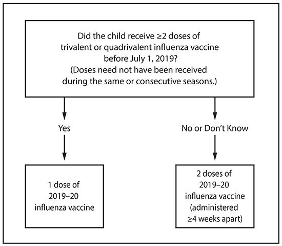 rr6803a1-F This figure is a flow chart describing the influenza vaccine dosing algorithm for children aged 6 months through 8 years for the 2019–20 influenza season in the United States. If the child has received 2 or more doses of trivalent or quadrivalent influenza vaccine before July 1, 2019 (doses need not have been given during same or consecutive seasons), the child should receive 1 dose of 2019–20 influenza vaccine. If the child has not received 2 or more doses of trivalent or quadrivalent influenza vaccine before July 1, 2019, or if it is not known whether the child has received vaccine, the child should receive 2 doses of 2019–20 influenza vaccine (administered 4 or more weeks apart). For children aged 8 years who require 2 doses of vaccine, both doses should be administered even if the child turns age 9 years between receipt of dose 1 and dose 2.
