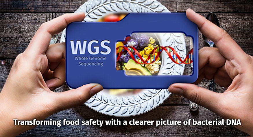 Whole genome sequencing: transforming food safety with a clearer picture of bacterial DNA